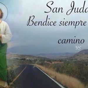 Meet your Posher, Elvia